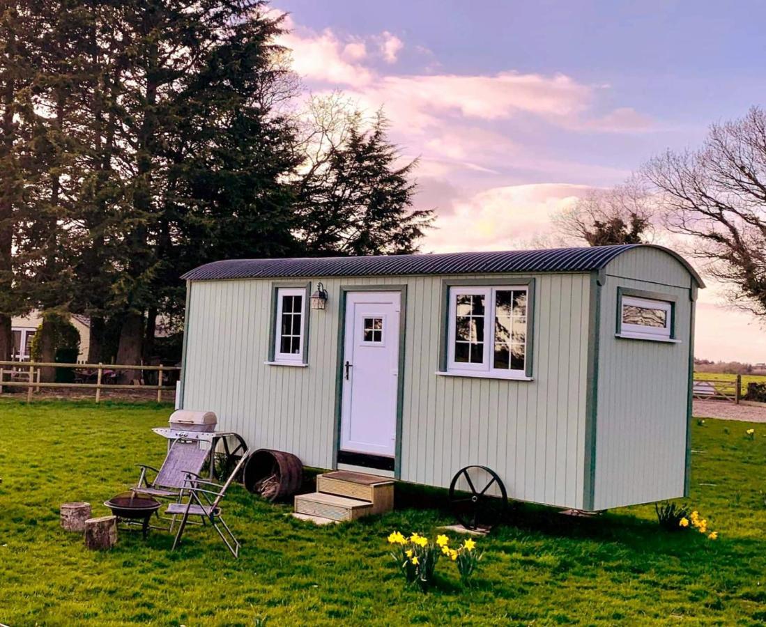 Villa Starry Meadow & Rescued Animal Experiences Great Yarmouth Exterior foto